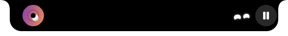 The collapsed notch widened into wings: a spinning disc of album art on the left, the character and a pause button on the right.